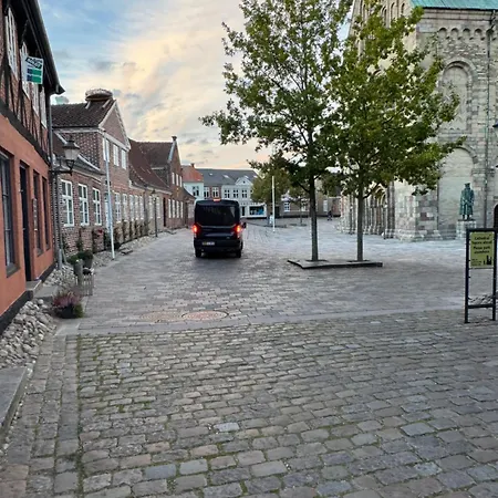 The Pigeon Nest * Ribe