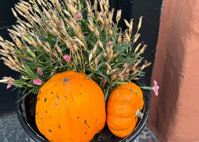 The Pigeon Nest Apartment *